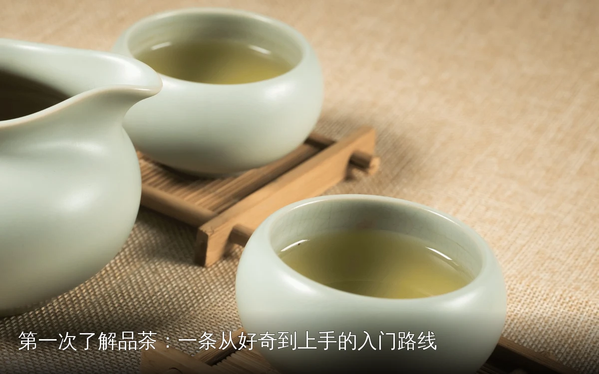 第一次了解品茶:一条从好奇到上手的入门路线