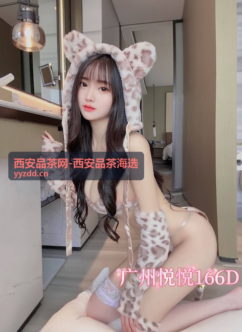 曲江新中式茶馆探店：白茶与手作茶点的搭配 - 西安品茶网-西安品茶海选